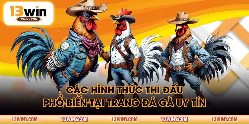 Các hình thức thi đấu phổ biến tại trang đá gà uy tín