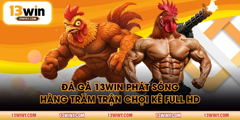Đá Gà 13WIN phát sóng hàng trăm trận chọi kê full HD