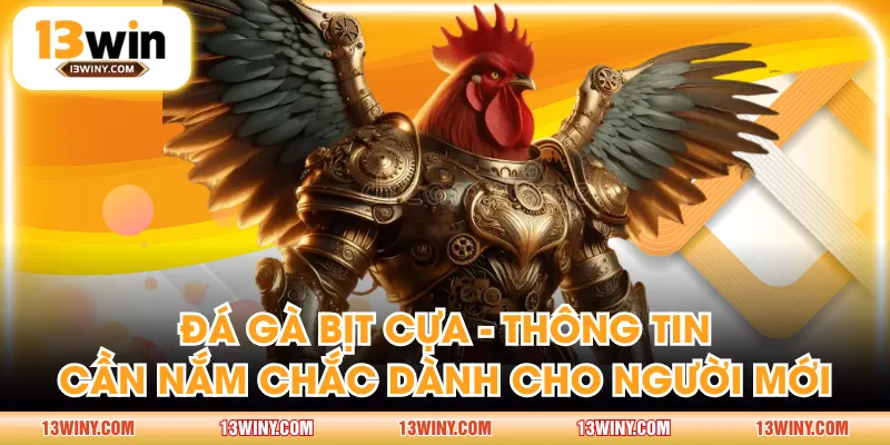 đá gà bịt cựa