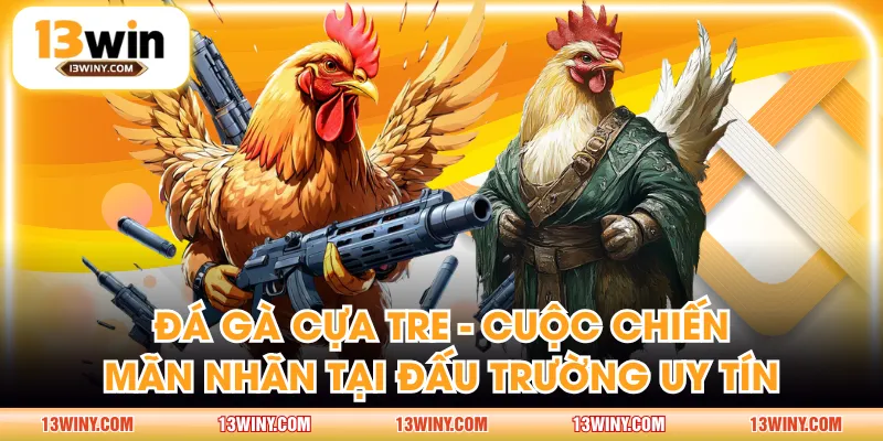 đá gà cựa tre