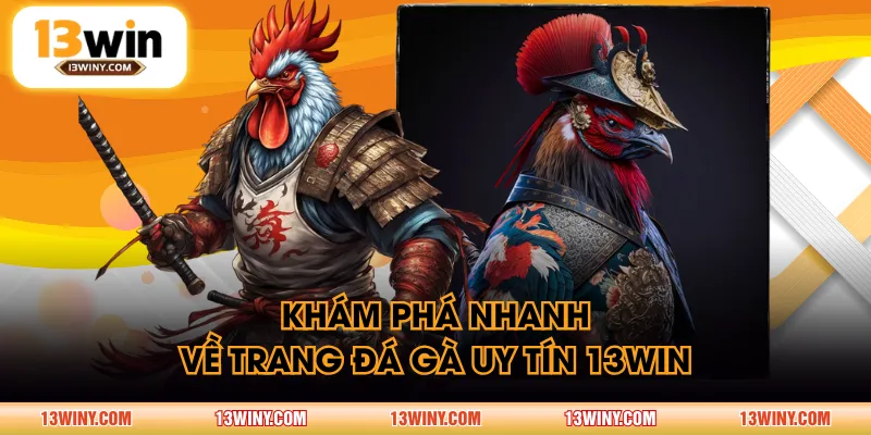 Khám phá nhanh về trang đá gà uy tín 13WIN