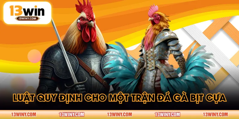 Luật quy định cho một trận đá gà bịt cựa
