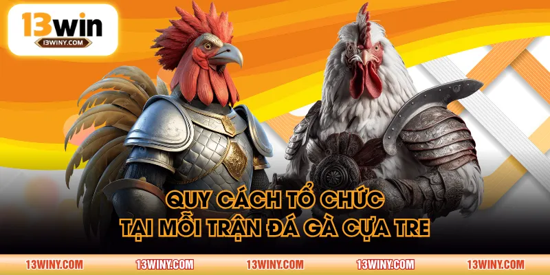 Quy cách tổ chức tại mỗi trận đá gà cựa tre