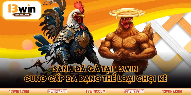 Sảnh đá gà tại 13WIN cung cấp đa dạng thể loại chọi kê