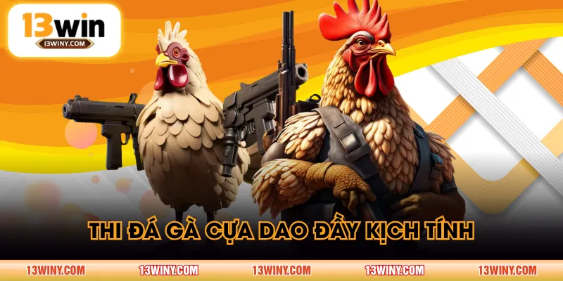 Thi đá gà cựa dao đầy kịch tính