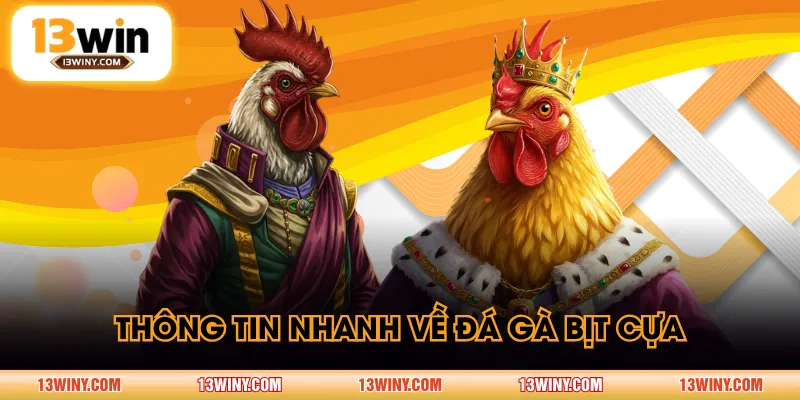 Thông tin nhanh về đá gà bịt cựa