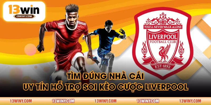 Tìm đúng nhà cái uy tín hỗ trợ soi kèo cược Liverpool