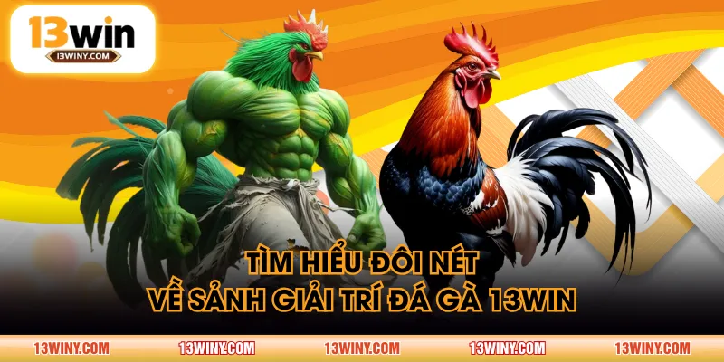 Tìm hiểu đôi nét về sảnh giải trí đá gà 13WIN